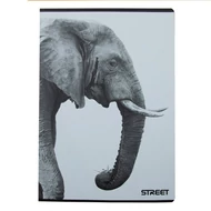 Tűzött kockás füzetek